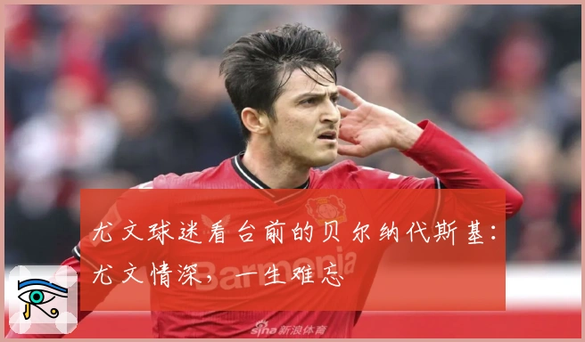 尤文球迷看台前的贝尔纳代斯基：尤文情深，一生难忘