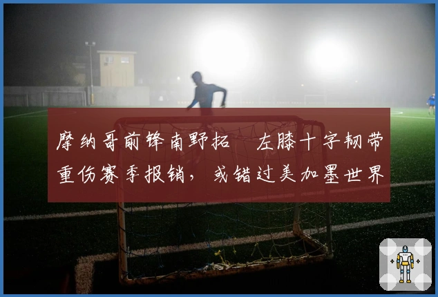 摩纳哥前锋南野拓実左膝十字韧带重伤赛季报销，或错过美加墨世界杯