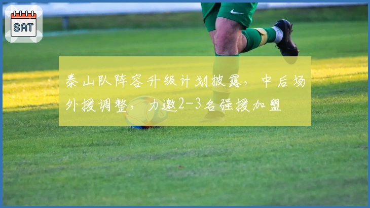 泰山队阵容升级计划披露，中后场外援调整，力邀2-3名强援加盟